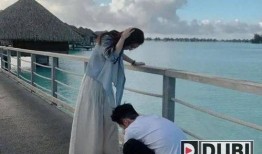 何超莲最新爆料,揭秘娱乐圈背后的惊人真相